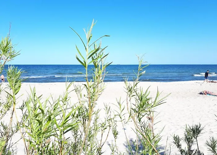 Kierunek Deluxe Ii Krolowej Jadwigi 7 סופוט